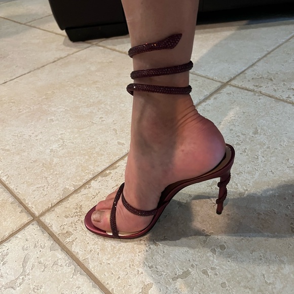 Rene Caovilla Margot crystal sandals in bordeaux - Picture 2 of 3